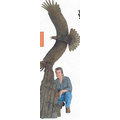 Over the Top Aquila Eagle Statue (9 1/2')